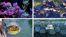 The oceans are suffering from biodiversity loss, plastic pollution and rising temperatures